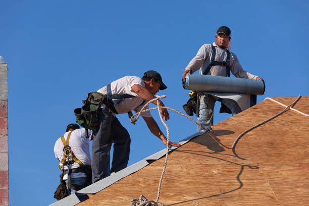 Best Roof Repair Services  in West Ishpeng, MI