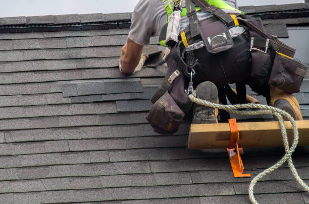 Best Roof Leak Repair  in West Ishpeng, MI