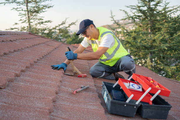 Best Roof Waterproofing Services  in West Ishpeng, MI
