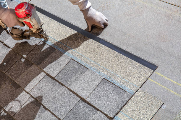 Best Roof Gutter Cleaning  in West Ishpeng, MI